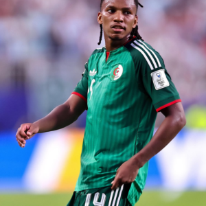 Argelia titular 2026. Versión jugador